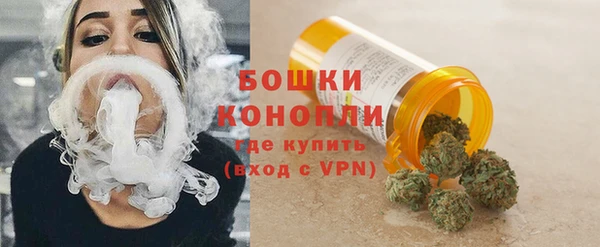 apvp Володарск
