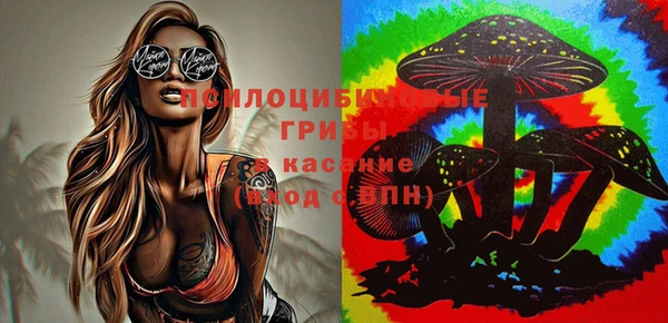 ECSTASY Вяземский